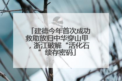 建德今年首次成功救助放归中华穿山甲，浙江破解“活化石”续存密码