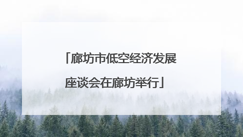 廊坊市低空经济发展座谈会在廊坊举行