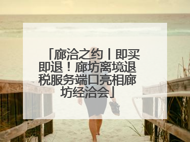 廊洽之约丨即买即退！廊坊离境退税服务端口亮相廊坊经洽会