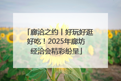廊洽之约丨好玩好逛好吃！2025年廊坊经洽会精彩纷呈