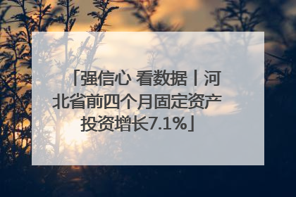 强信心 看数据丨河北省前四个月固定资产投资增长7.1%