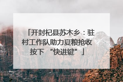 开封杞县苏木乡：驻村工作队助力夏粮抢收按下 “快进键”