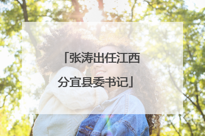 张涛出任江西分宜县委书记