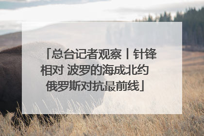 总台记者观察丨针锋相对 波罗的海成北约俄罗斯对抗最前线