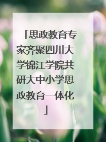 思政教育专家齐聚四川大学锦江学院共研大中小学思政教育一体化