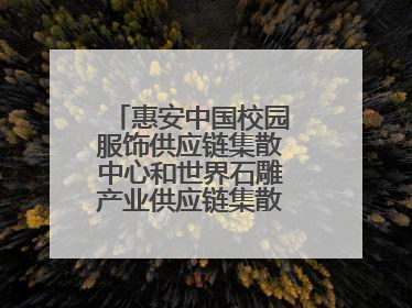 惠安中国校园服饰供应链集散中心和世界石雕产业供应链集散中心正式揭牌