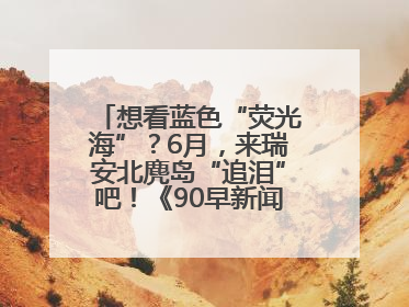 想看蓝色“荧光海”？6月，来瑞安北麂岛“追泪”吧！《90早新闻》来了