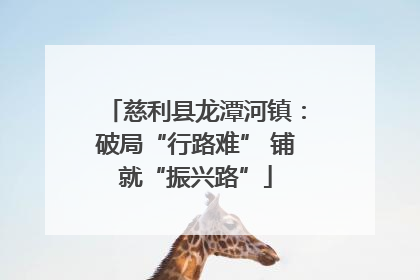 慈利县龙潭河镇：破局“行路难” 铺就“振兴路”