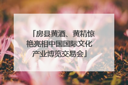 房县黄酒、黄精惊艳亮相中国国际文化产业博览交易会