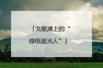戈壁滩上的“绿电逐光人”