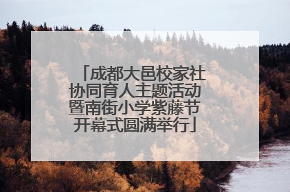 成都大邑校家社协同育人主题活动暨南街小学紫藤节开幕式圆满举行