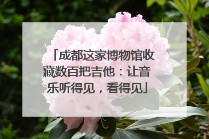 成都这家博物馆收藏数百把吉他：让音乐听得见，看得见
