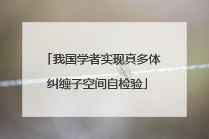 我国学者实现真多体纠缠子空间自检验