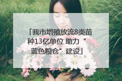 我市增殖放流8类苗种13亿单位 助力“蓝色粮仓”建设