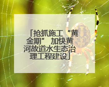 抢抓施工“黄金期” 加快黄河故道水生态治理工程建设