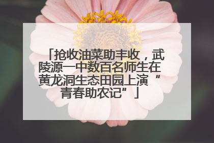 抢收油菜助丰收，武陵源一中数百名师生在黄龙洞生态田园上演“青春助农记”