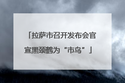 拉萨市召开发布会官宣黑颈鹤为“市鸟”