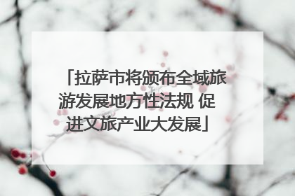拉萨市将颁布全域旅游发展地方性法规 促进文旅产业大发展