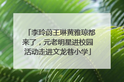 李玲蔚王琳黄雅琼都来了，元老明星进校园活动走进文龙巷小学