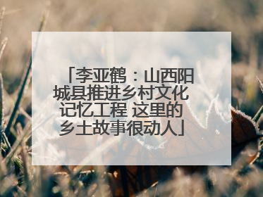李亚鹤：山西阳城县推进乡村文化记忆工程 这里的乡土故事很动人