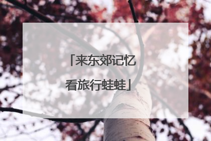来东郊记忆 看旅行蛙蛙