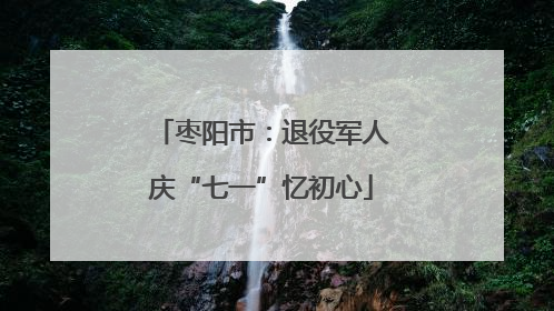枣阳市：退役军人庆“七一”忆初心