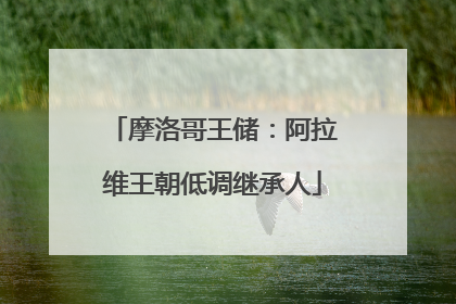 摩洛哥王储：阿拉维王朝低调继承人