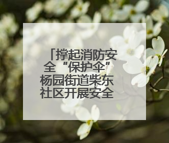 撑起消防安全“保护伞”杨园街道柴东社区开展安全生产月活动