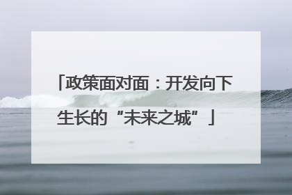 政策面对面：开发向下生长的“未来之城”