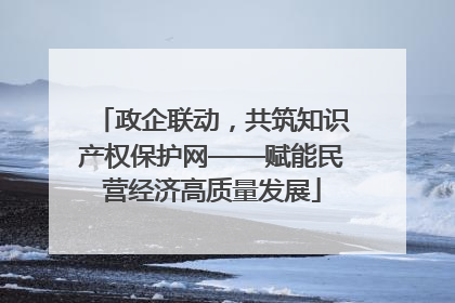 政企联动，共筑知识产权保护网——赋能民营经济高质量发展