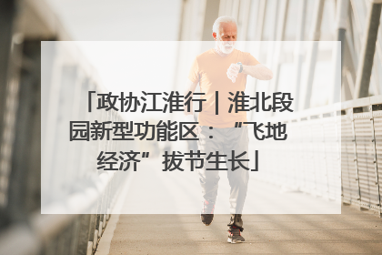 政协江淮行｜淮北段园新型功能区：“飞地经济”拔节生长