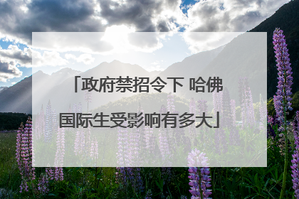 政府禁招令下 哈佛国际生受影响有多大