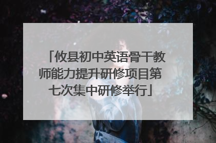 攸县初中英语骨干教师能力提升研修项目第七次集中研修举行