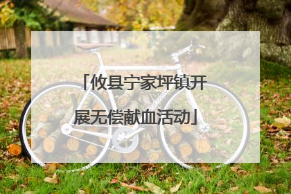 攸县宁家坪镇开展无偿献血活动