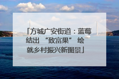 方城广安街道：蓝莓结出 “致富果” 绘就乡村振兴新图景