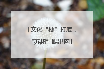 文化“梗”打底，“苏超”踢出圈