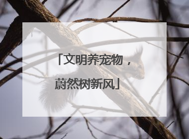 文明养宠物，蔚然树新风