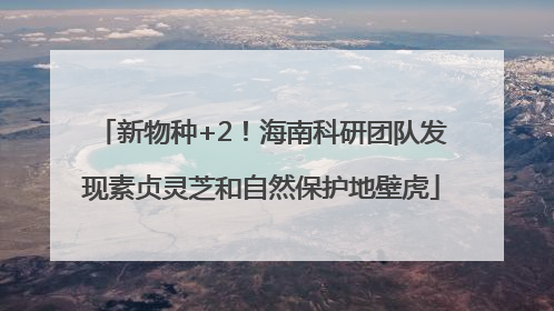 新物种+2！海南科研团队发现素贞灵芝和自然保护地壁虎