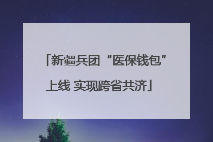 新疆兵团“医保钱包”上线 实现跨省共济