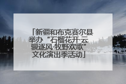 新疆和布克赛尔县举办“石榴花开·云骥逐风·牧野欢歌”文化演出季活动