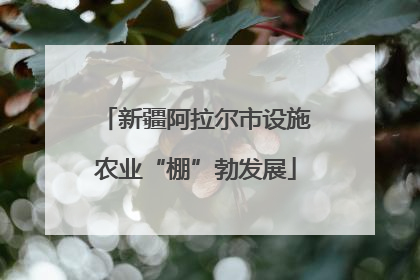 新疆阿拉尔市设施农业“棚”勃发展