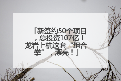 新签约50个项目，总投资107亿！龙岩上杭这套“组合拳”，漂亮！