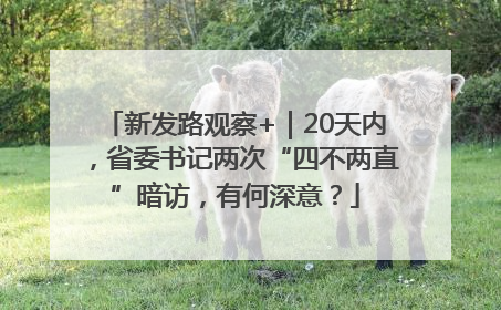 新发路观察+｜20天内，省委书记两次“四不两直”暗访，有何深意？