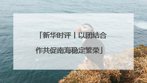 新华时评丨以团结合作共促南海稳定繁荣