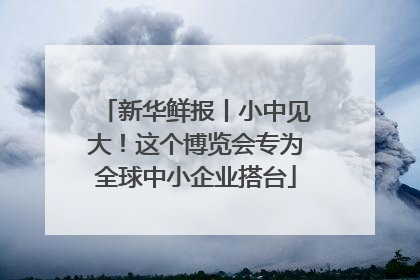 新华鲜报丨小中见大！这个博览会专为全球中小企业搭台