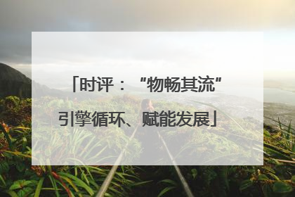 时评：“物畅其流”引擎循环、赋能发展