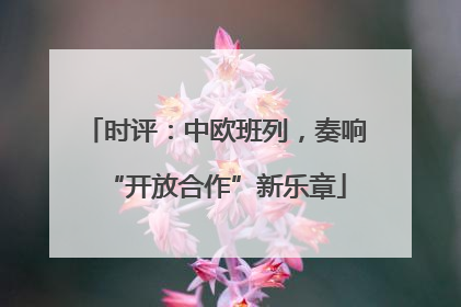 时评：中欧班列，奏响“开放合作”新乐章