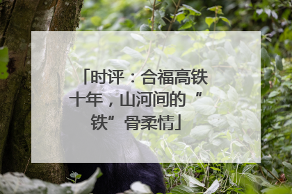 时评：合福高铁十年，山河间的“铁”骨柔情