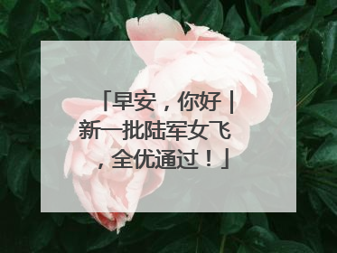 早安，你好｜新一批陆军女飞，全优通过！