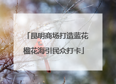 昆明商场打造蓝花楹花海引民众打卡